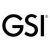 GSI LOGO 2